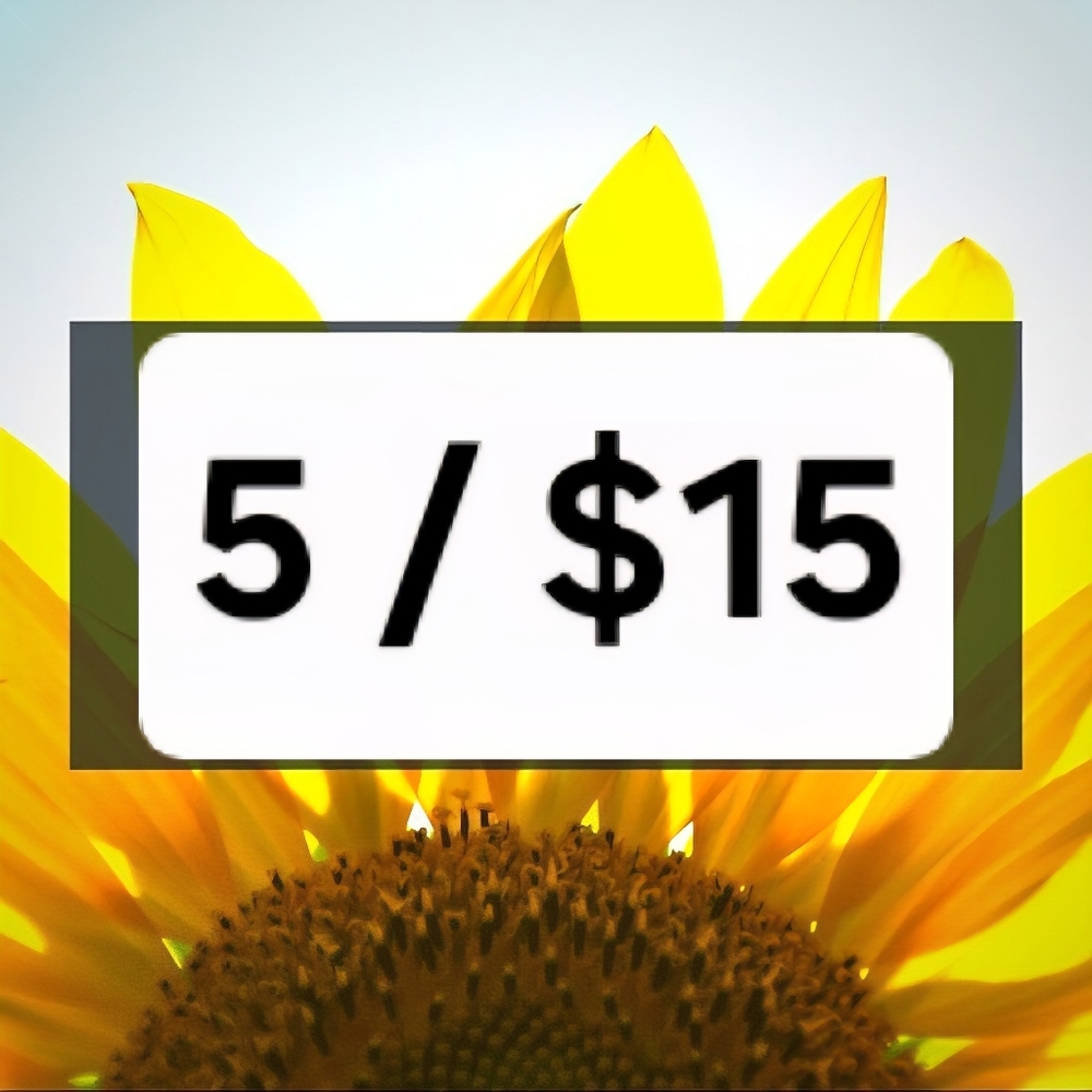 5 For $15 Bundle Deal